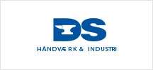 DS logo